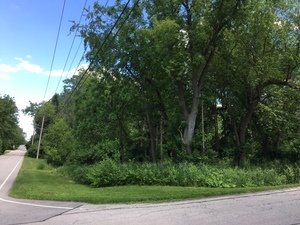 4601 Winchester Avenue Lisle IL 60532