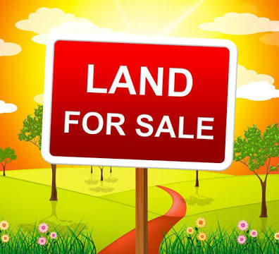 238 Grant Avenue Clarendon Hills IL 60514