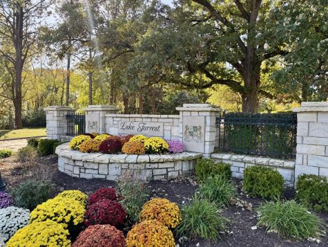 25028 Old Oak Lane Shorewood IL 60404