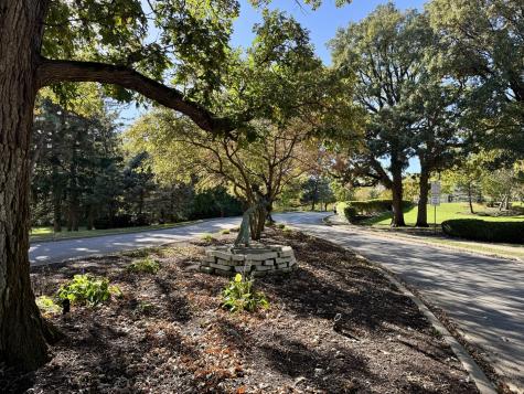25028 Old Oak Lane Shorewood IL 60404