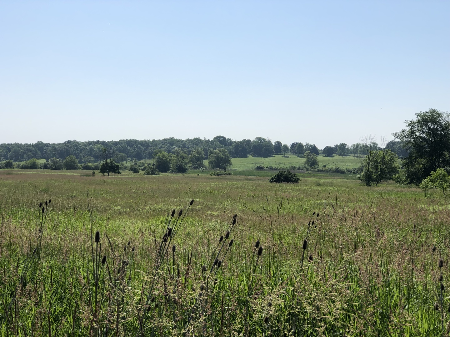 600 Berron Lane Barrington Hills IL 60010