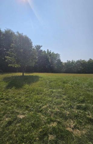 420 Woodland Trail Lindenhurst IL 60046