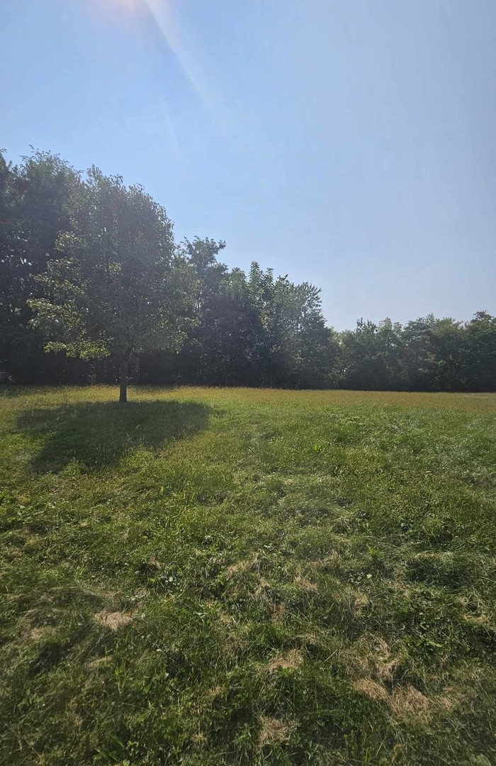 420 Woodland Trail Lindenhurst IL 60046