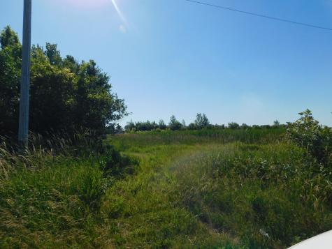 4537 East 14th Road Earlville IL 60518