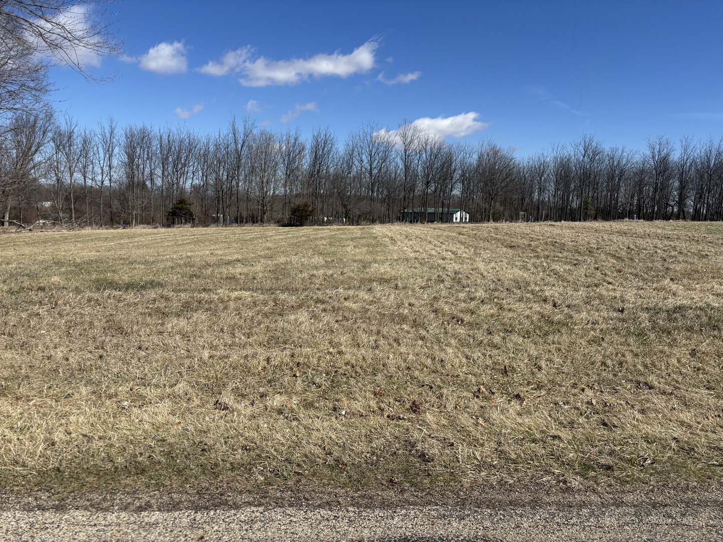 78 Lake Wildwood Drive Varna IL 61375