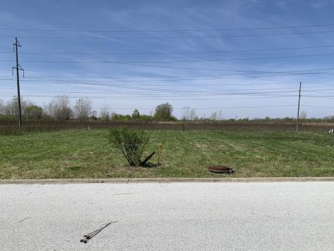 19700 Ambry Circle Lynwood IL 60411