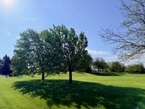 4702 Patty Lane Ringwood IL 60072