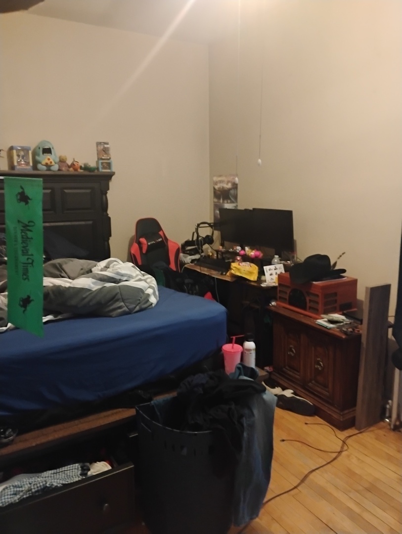 2441 North Hamlin Avenue Chicago IL 60647