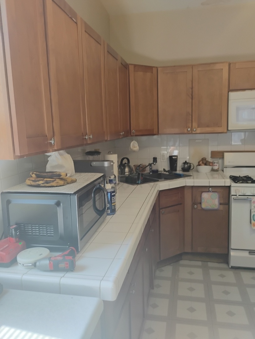 2441 North Hamlin Avenue Chicago IL 60647