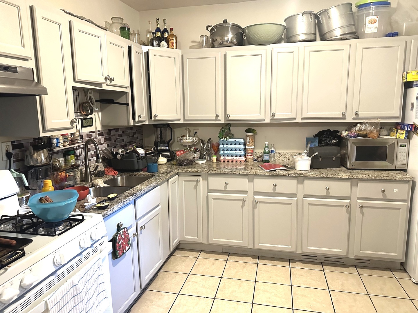 1749 West North Shore Avenue Chicago IL 60626