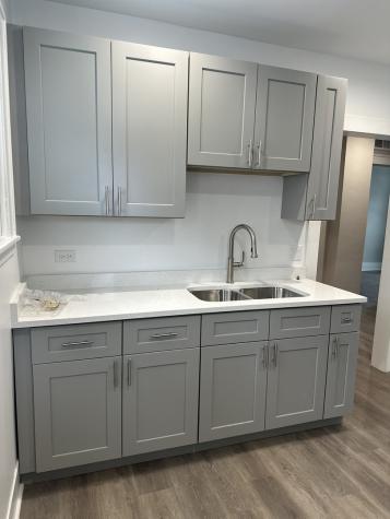 231-233 Williams Street Aurora IL 60506