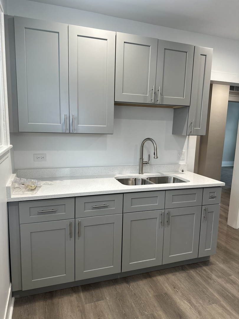 231-233 Williams Street Aurora IL 60506