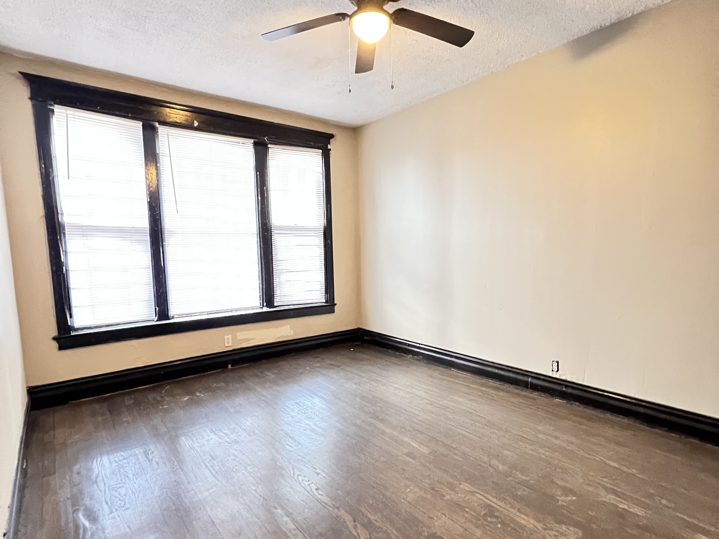 6240 South Evans Avenue Chicago IL 60637