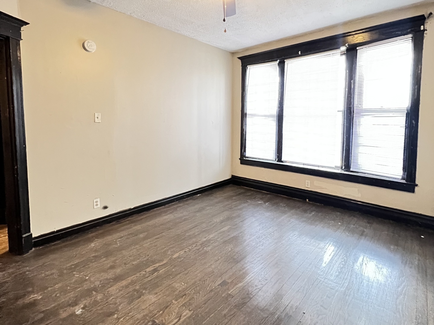6240 South Evans Avenue Chicago IL 60637