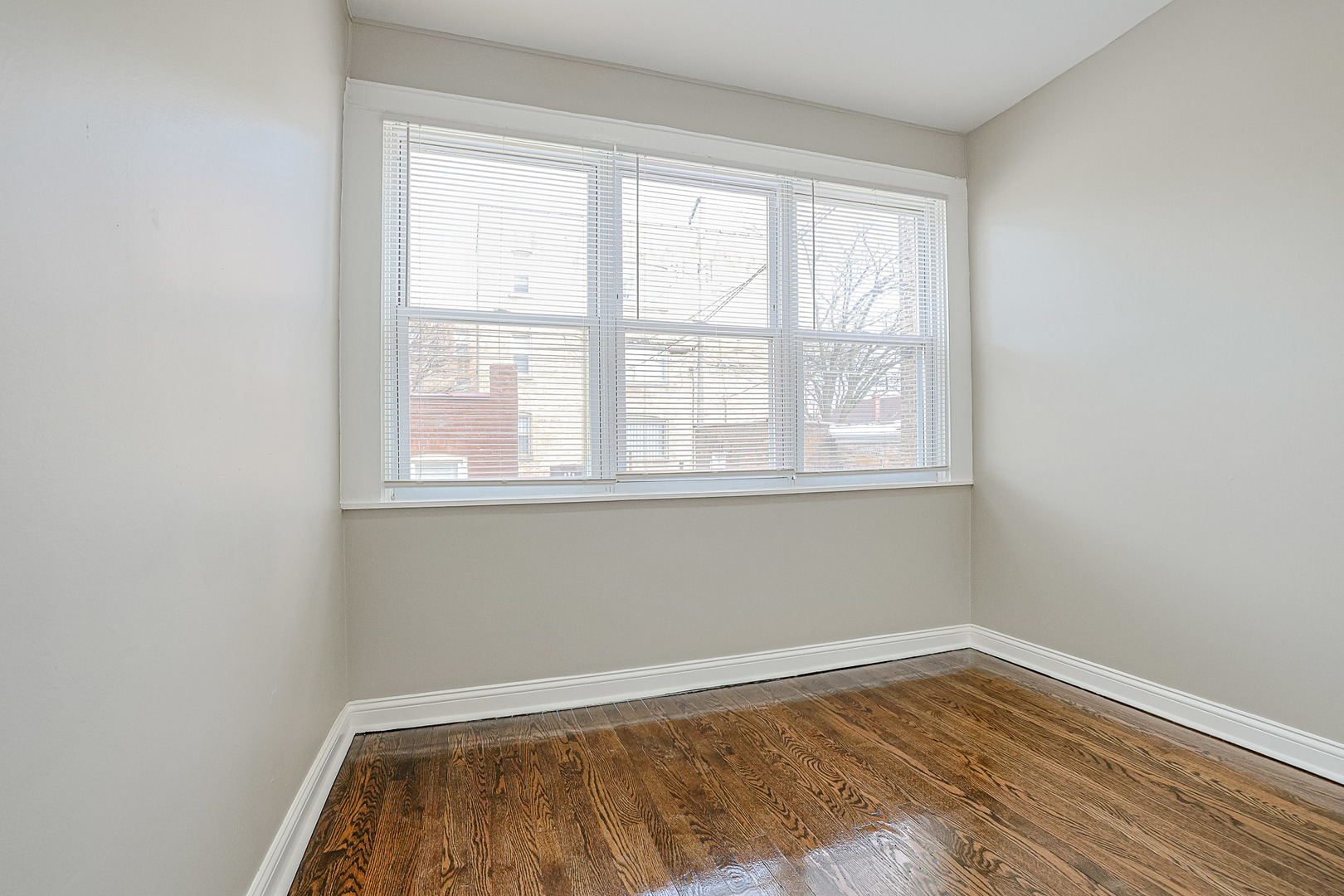 5955 South Whipple Street Chicago IL 60629