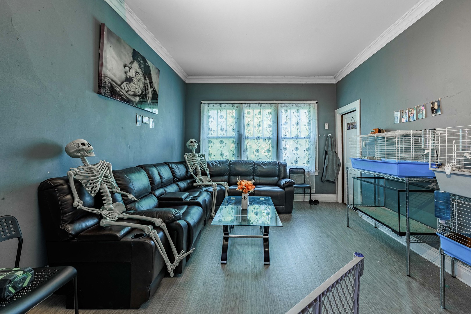 8119 South Escanaba Avenue Chicago IL 60617