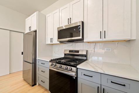 538 North Trumbull Avenue Chicago IL 60624