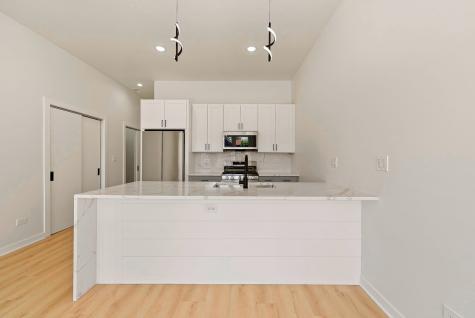 538 North Trumbull Avenue Chicago IL 60624
