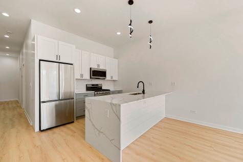 538 North Trumbull Avenue Chicago IL 60624