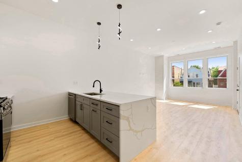 538 North Trumbull Avenue Chicago IL 60624