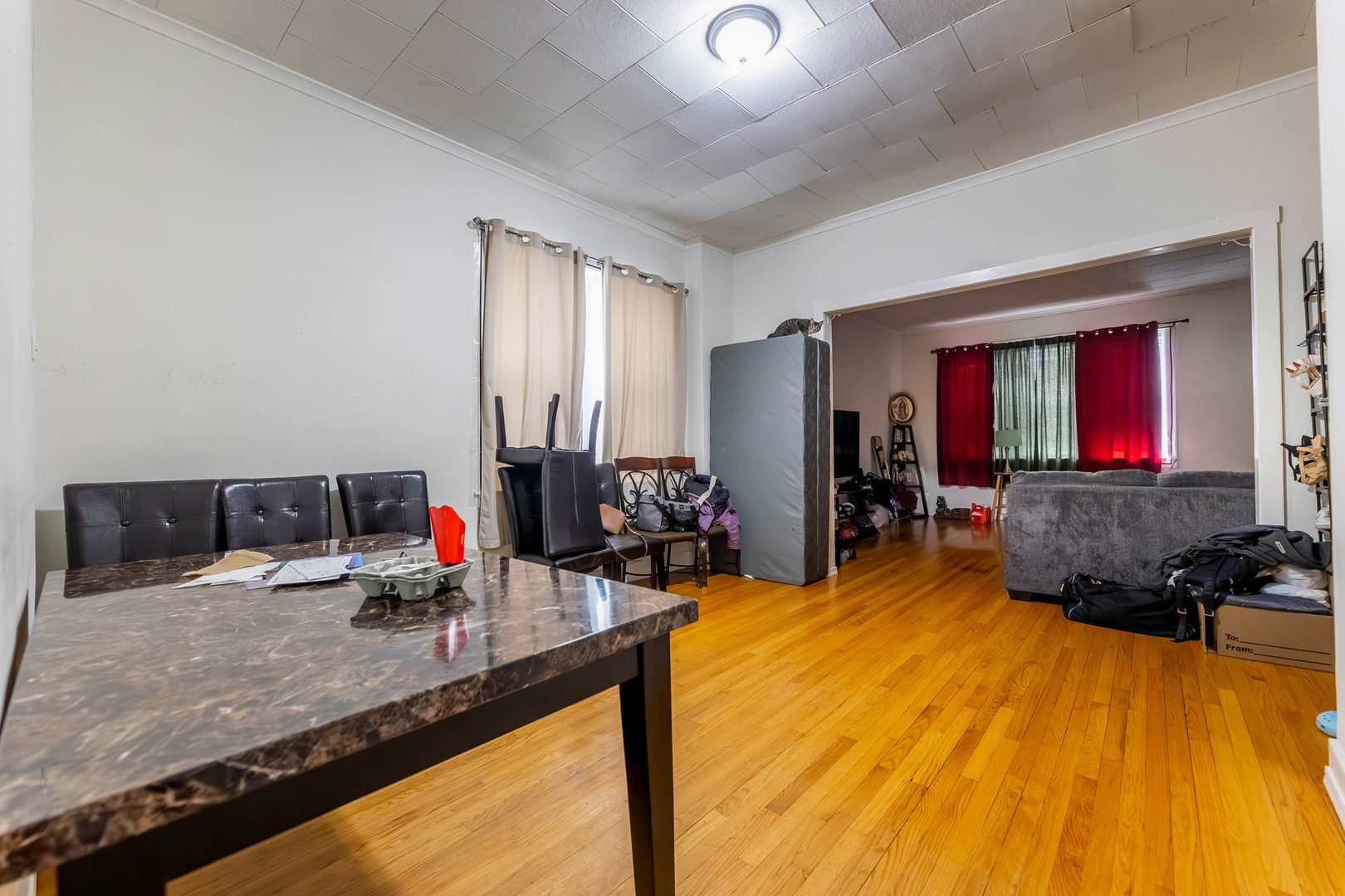 3651 South Wood Street Chicago IL 60609