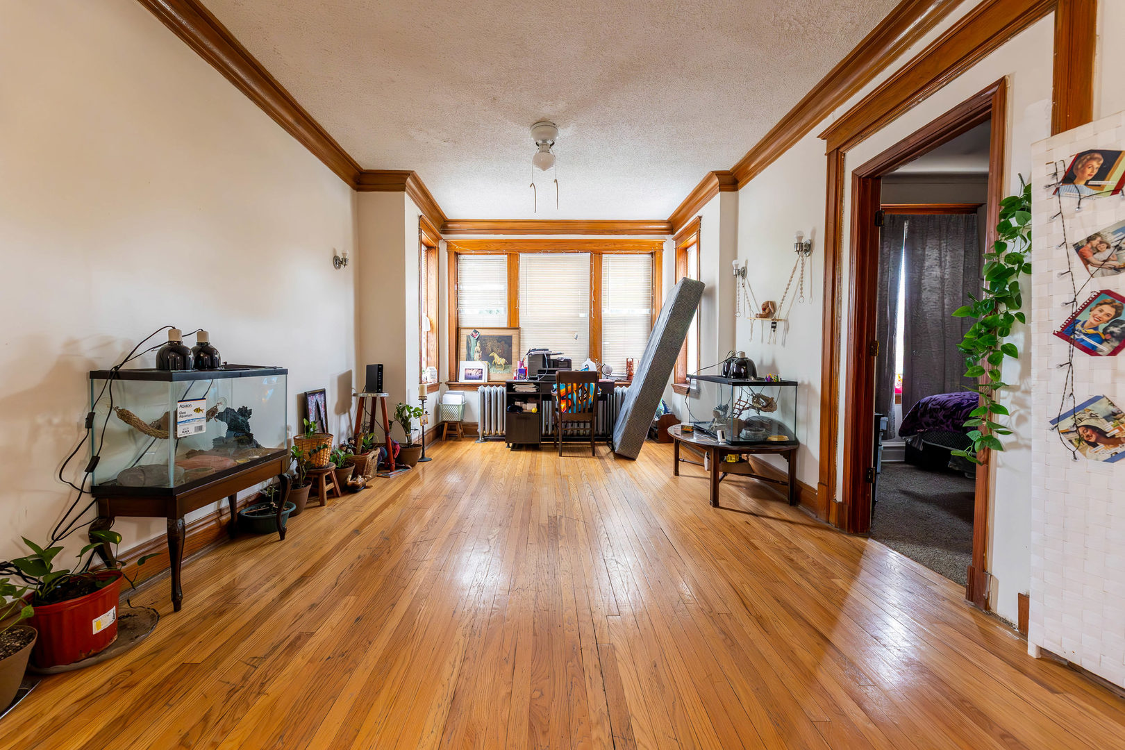5427 South Hermitage Avenue Chicago IL 60609