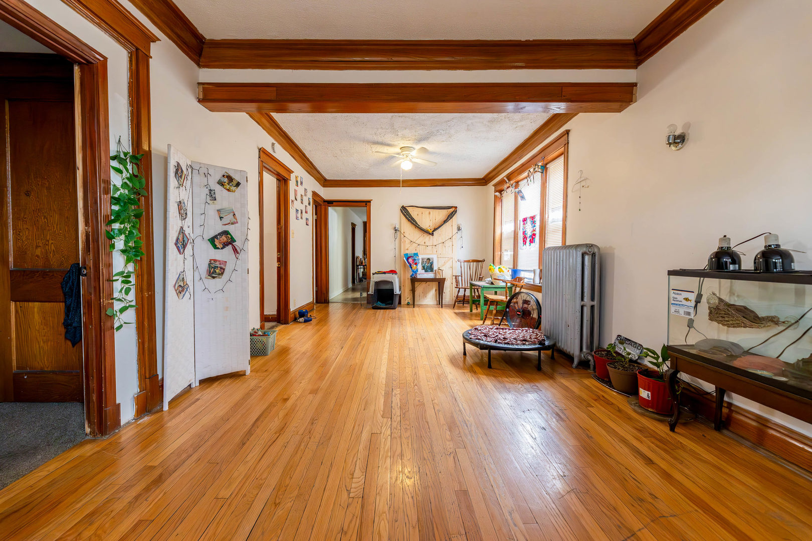 5427 South Hermitage Avenue Chicago IL 60609