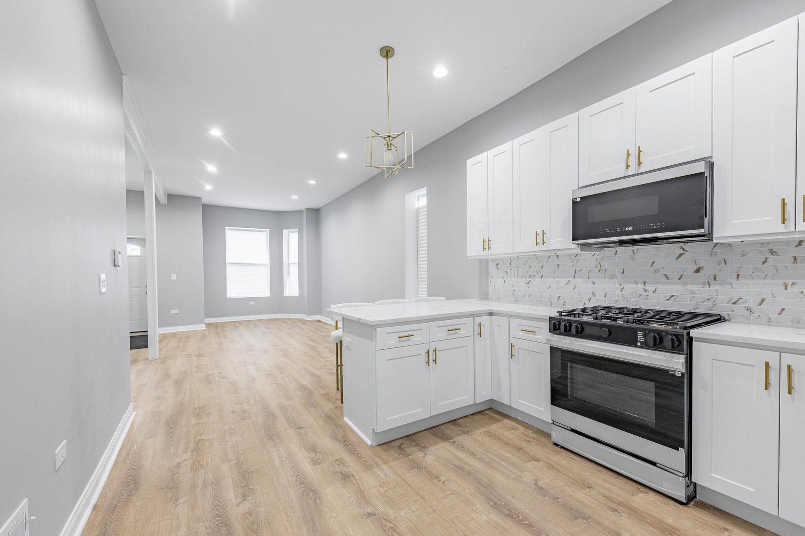 1539 South Christiana Avenue Chicago IL 60623