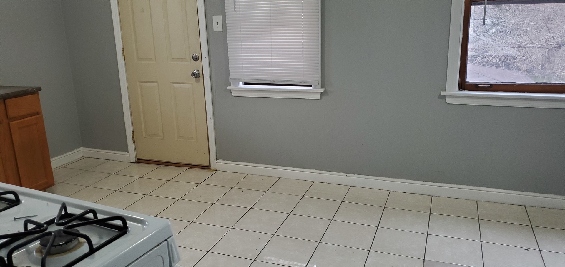 165 East 119th Street Chicago IL 60628