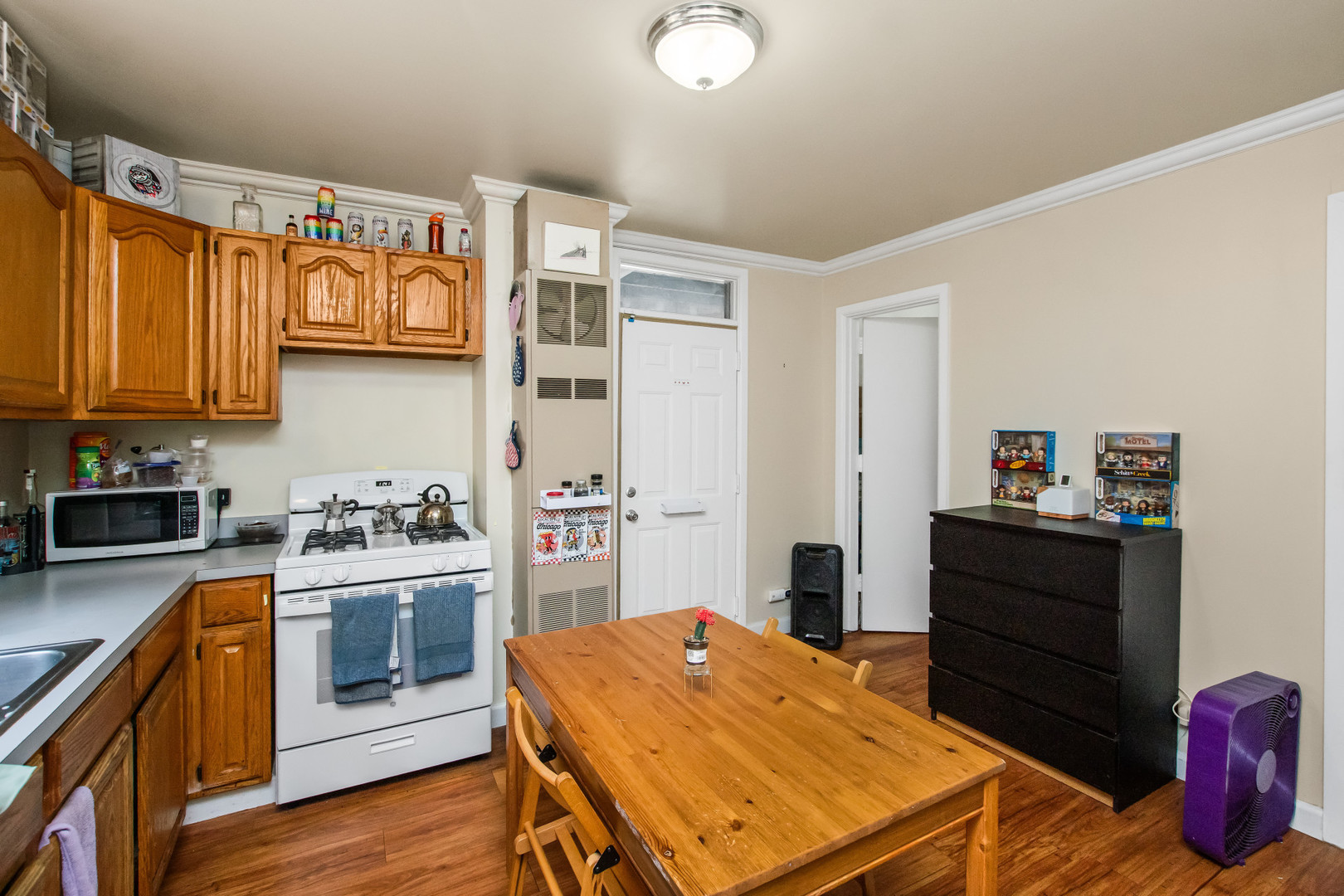 2238 West 21st Place Chicago IL 60608