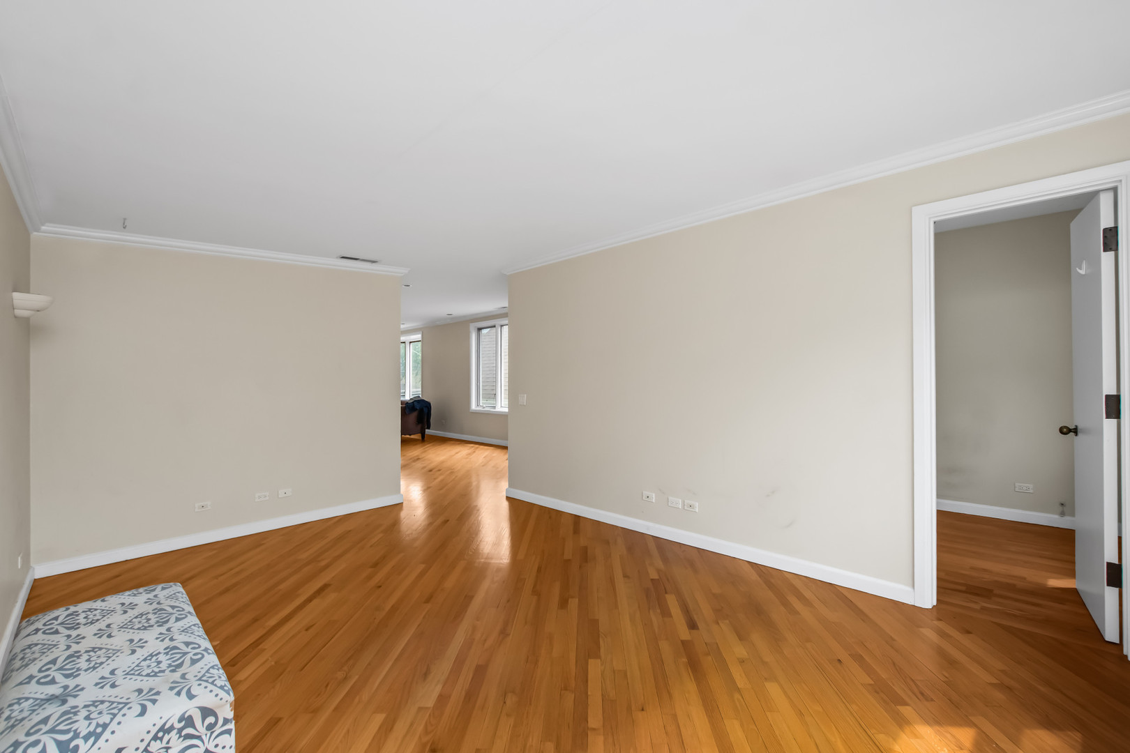2238 West 21st Place Chicago IL 60608