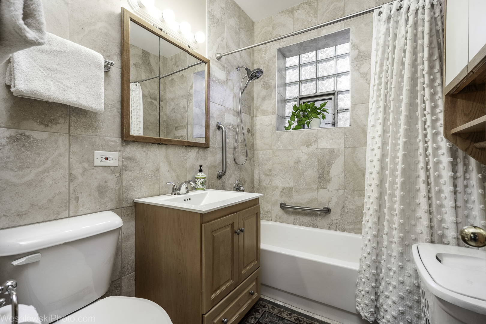 3039 North Haussen Court Chicago IL 60618
