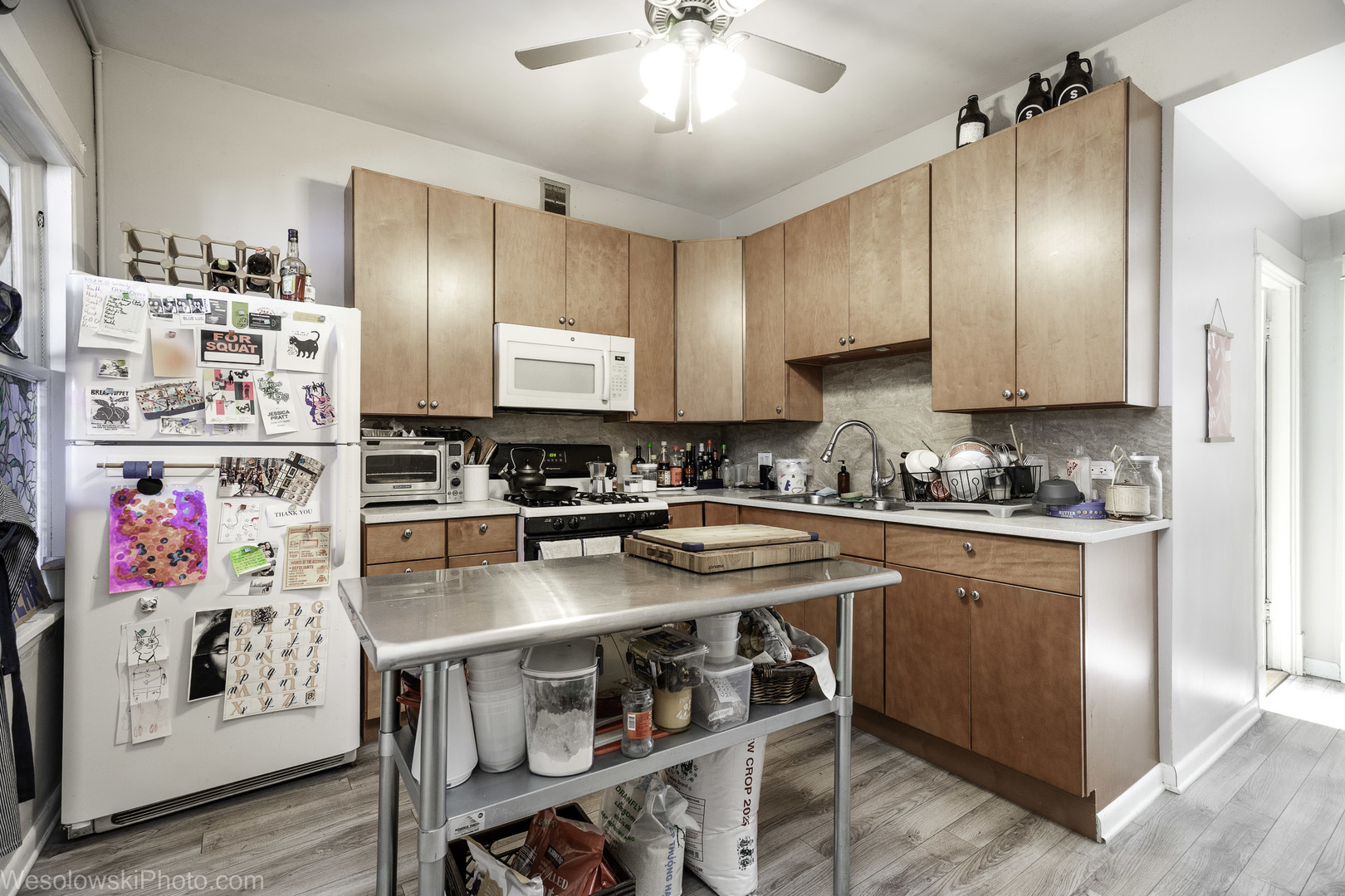 3039 North Haussen Court Chicago IL 60618