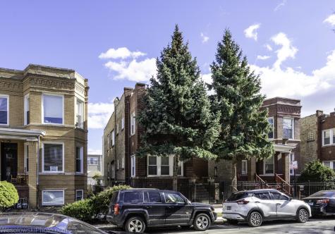 3039 North Haussen Court Chicago IL 60618