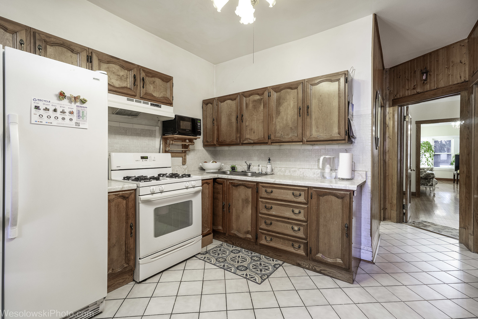 3039 North Haussen Court Chicago IL 60618