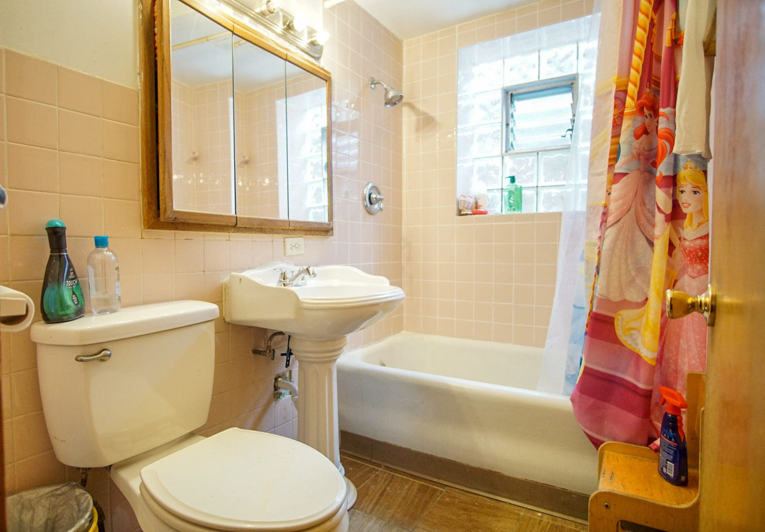 5224 West Deming Place Chicago IL 60639