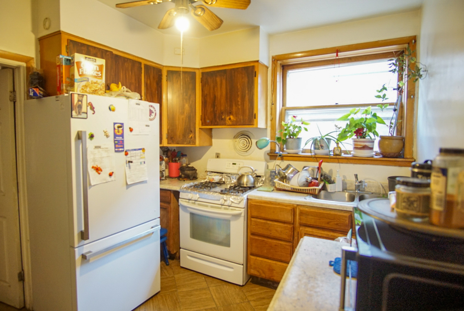 5224 West Deming Place Chicago IL 60639