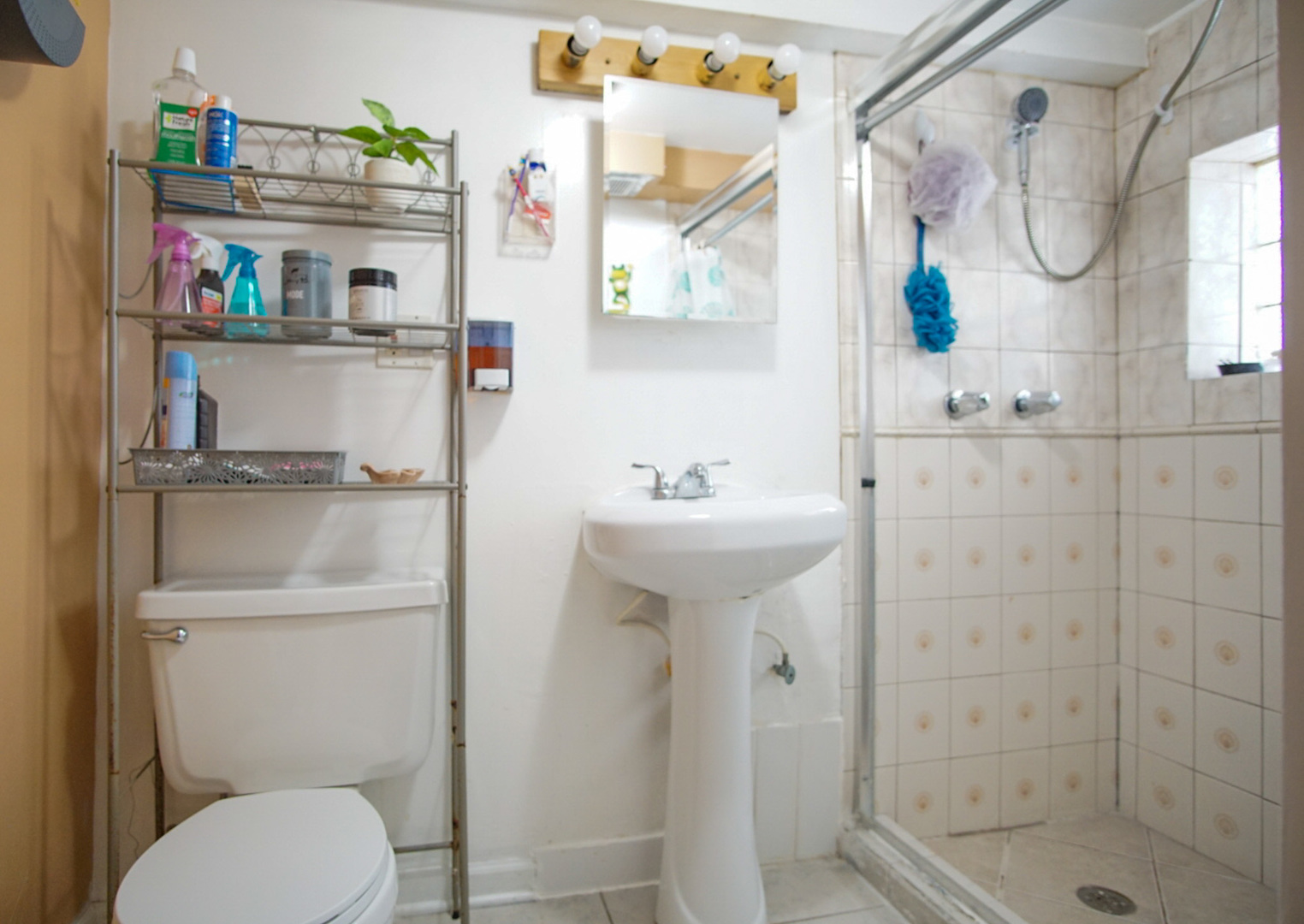 5224 West Deming Place Chicago IL 60639