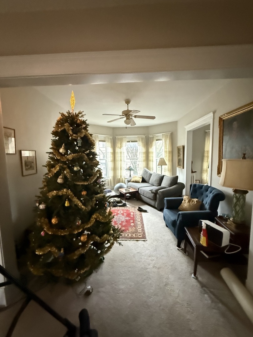 1325 West Cornelia Avenue Chicago IL 60657