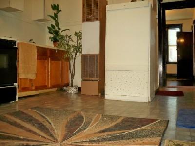 5243 South Maplewood Avenue Chicago IL 60632