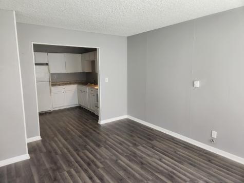 201-203 South Maple Street Toluca IL 61369