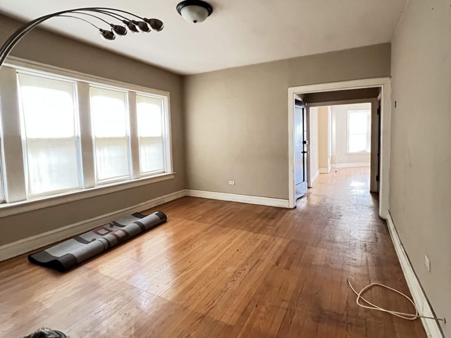 7823 South Cornell Avenue Chicago IL 60649