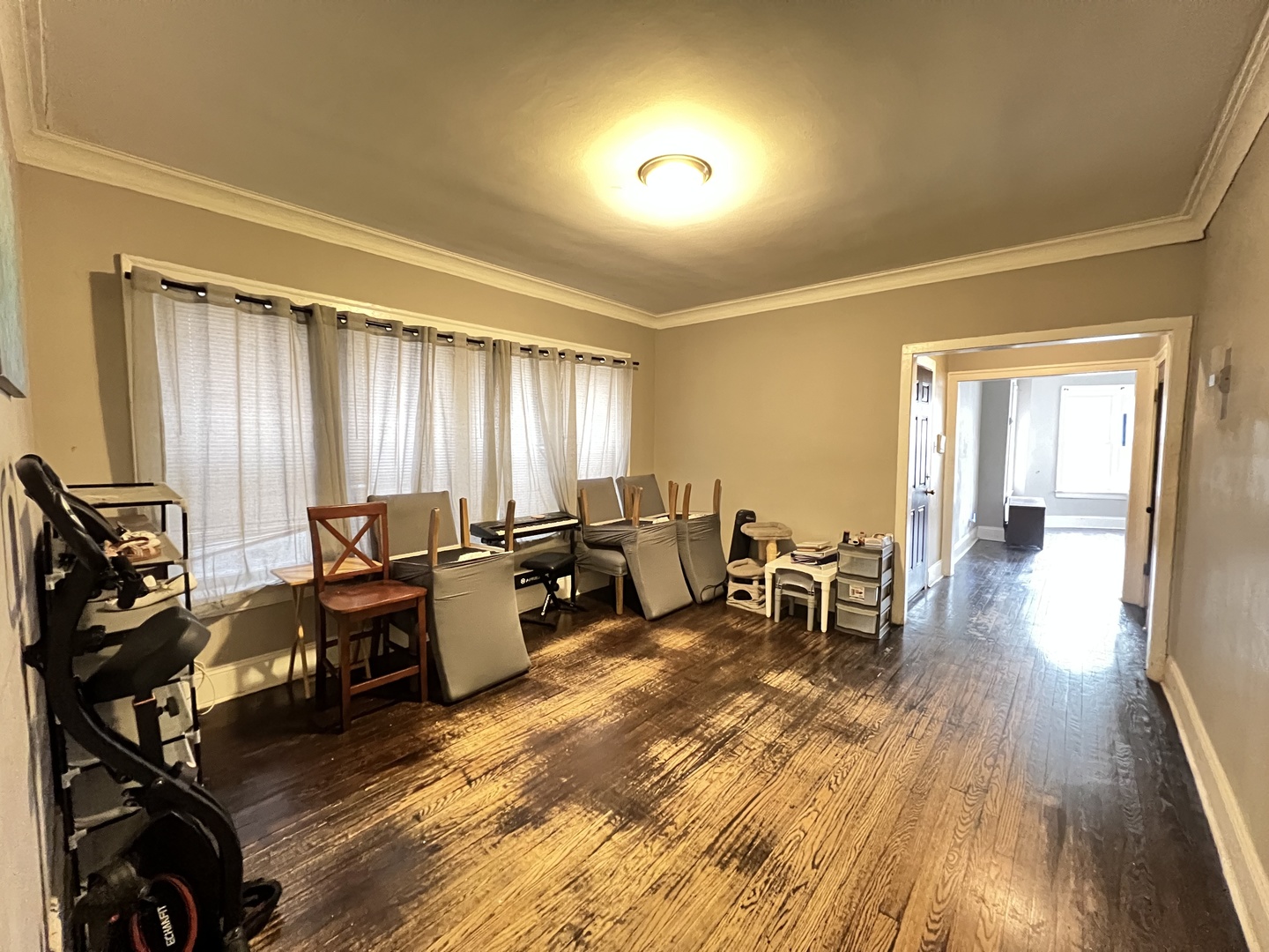 7823 South Cornell Avenue Chicago IL 60649