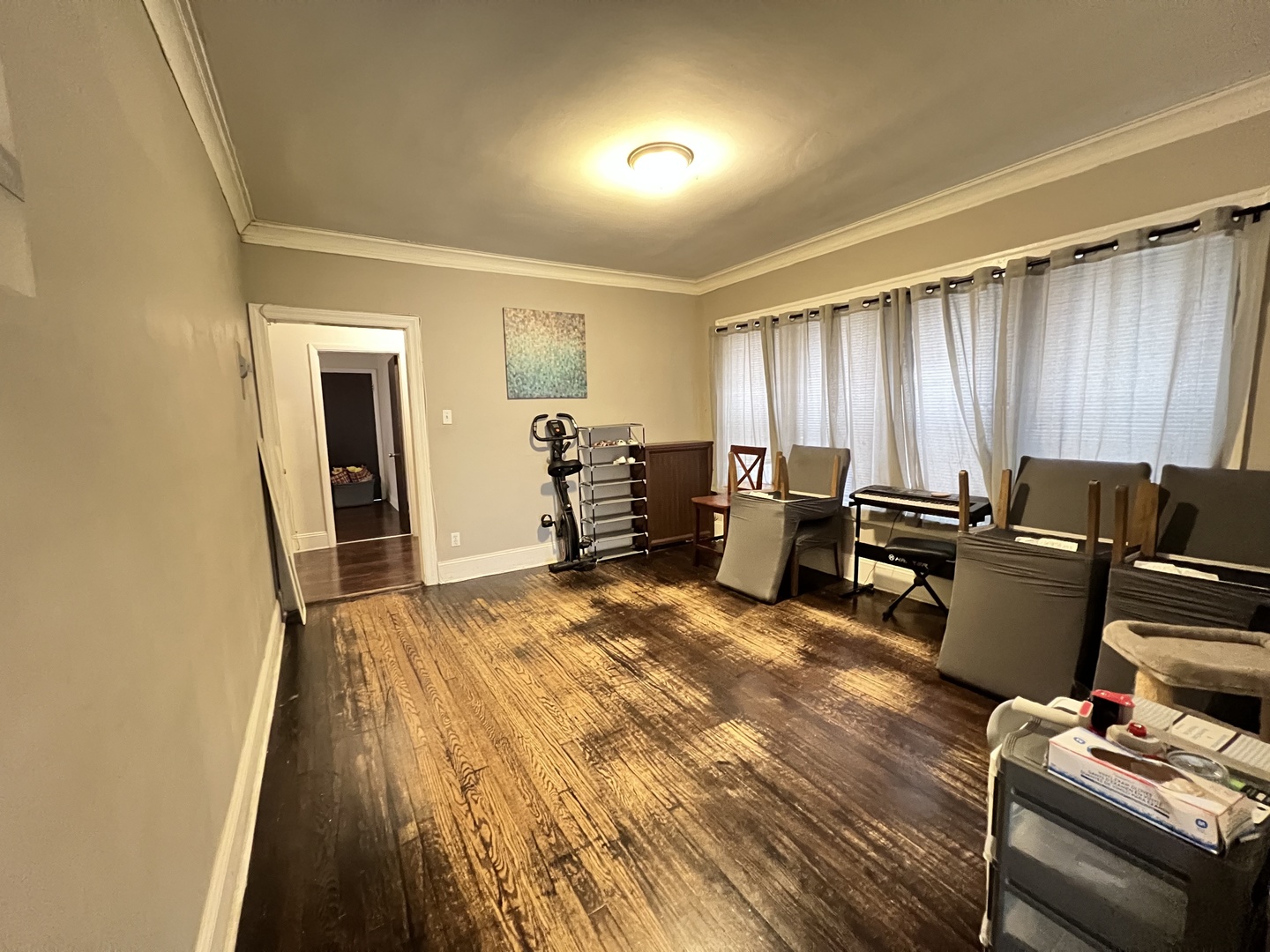 7823 South Cornell Avenue Chicago IL 60649