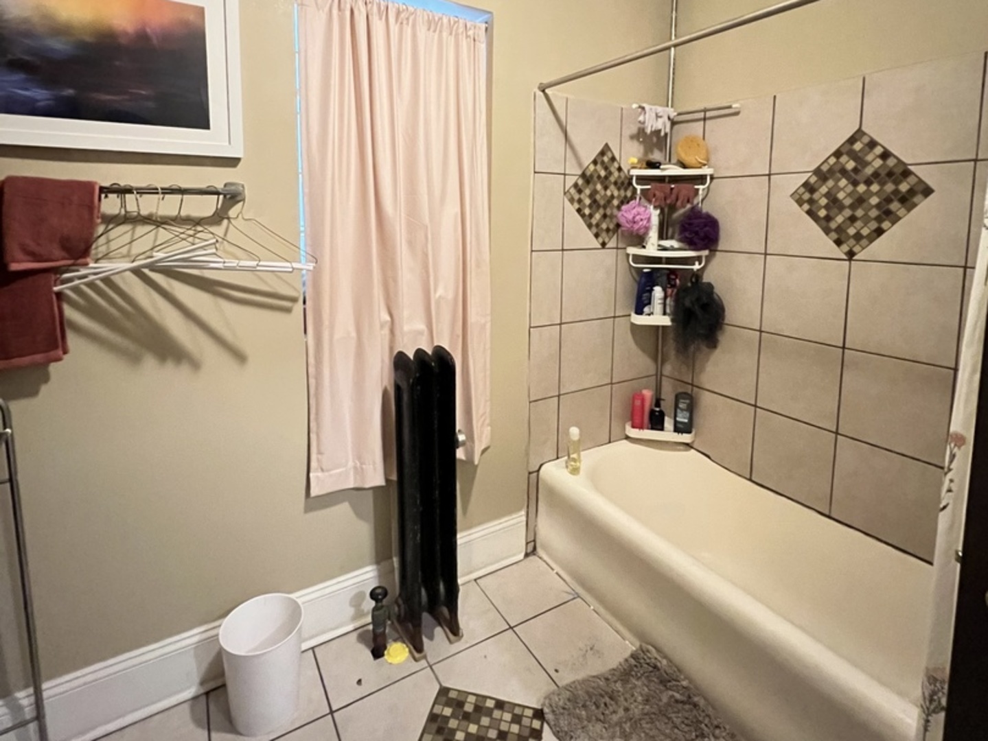 7823 South Cornell Avenue Chicago IL 60649