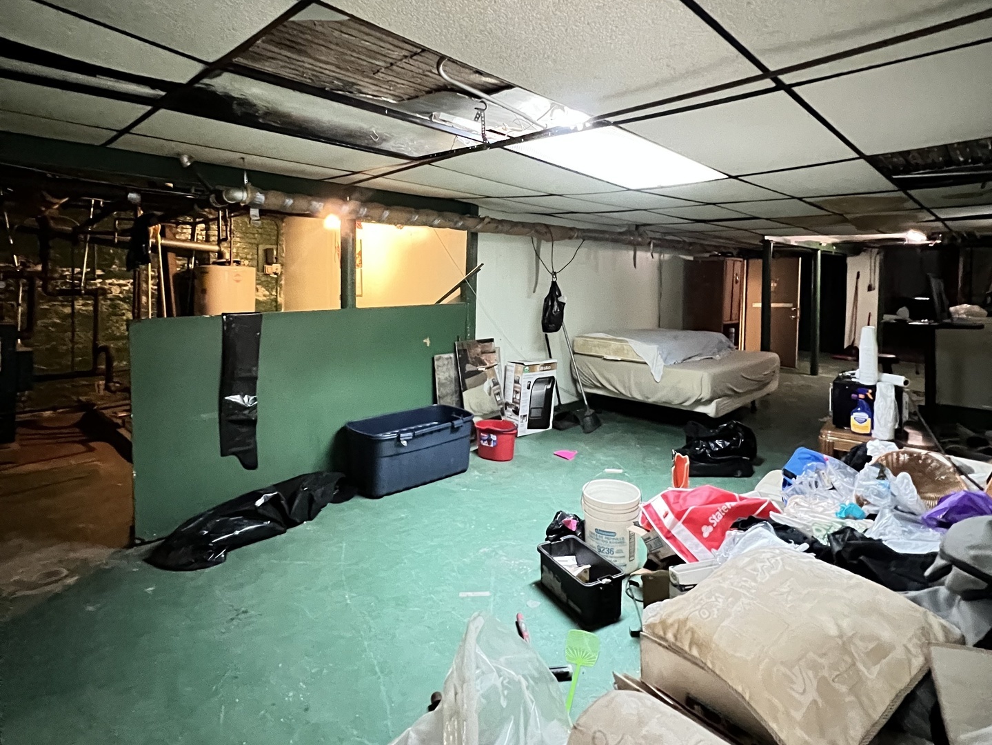7823 South Cornell Avenue Chicago IL 60649