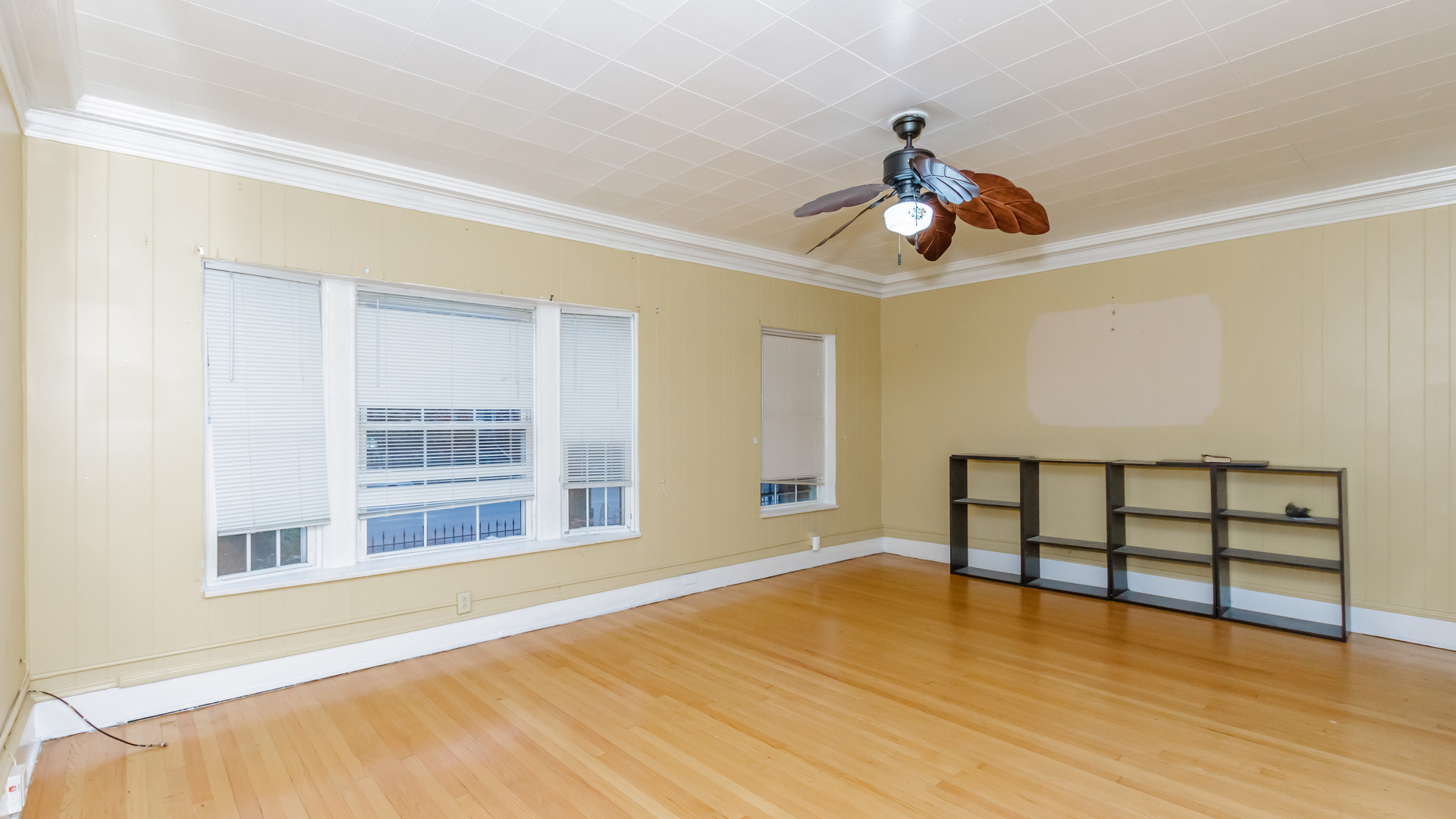5729 South Michigan Avenue Chicago IL 60637