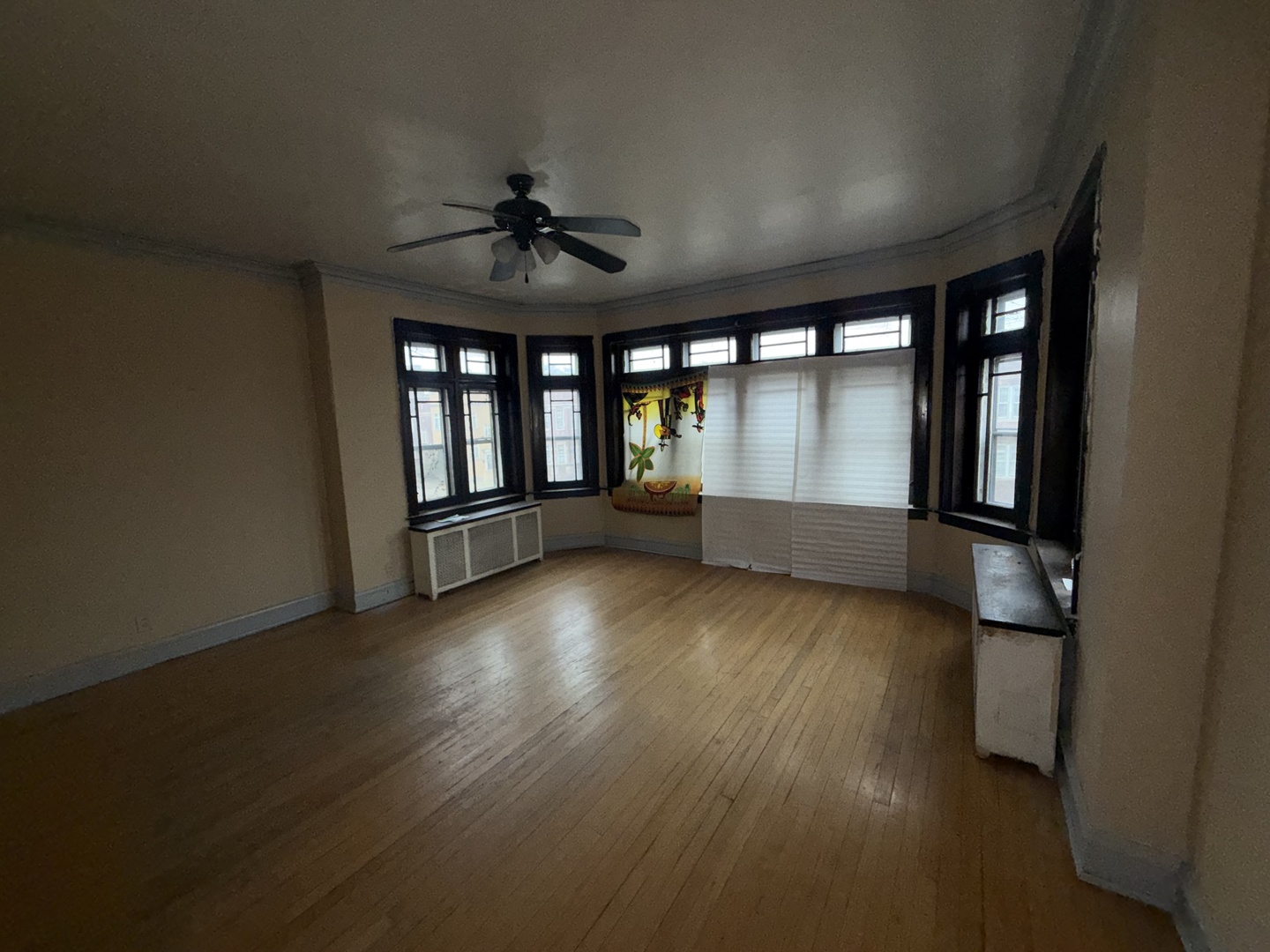 8236 South May Street Chicago IL 60620