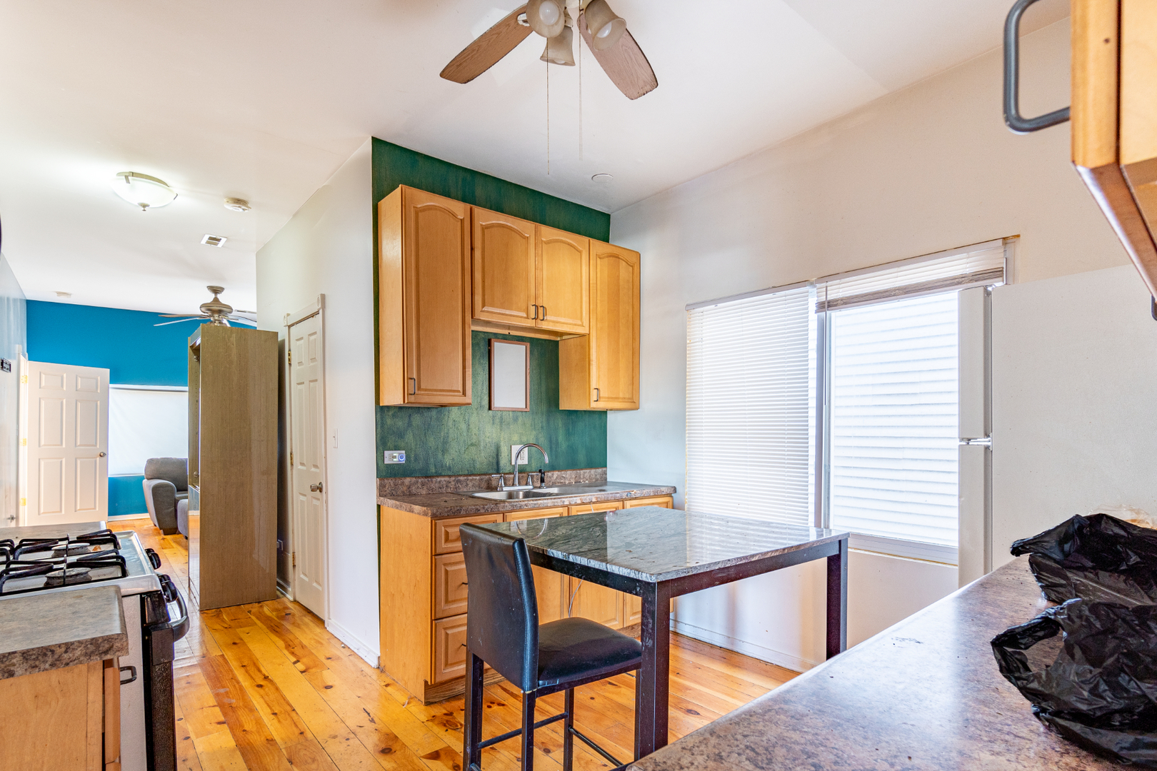 5228 South Justine Street Chicago IL 60609