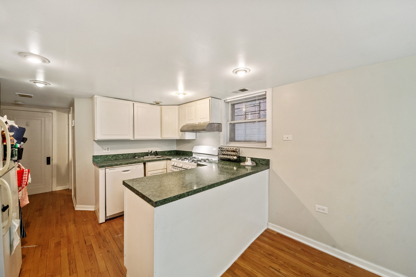 1448 West George Street Chicago IL 60657